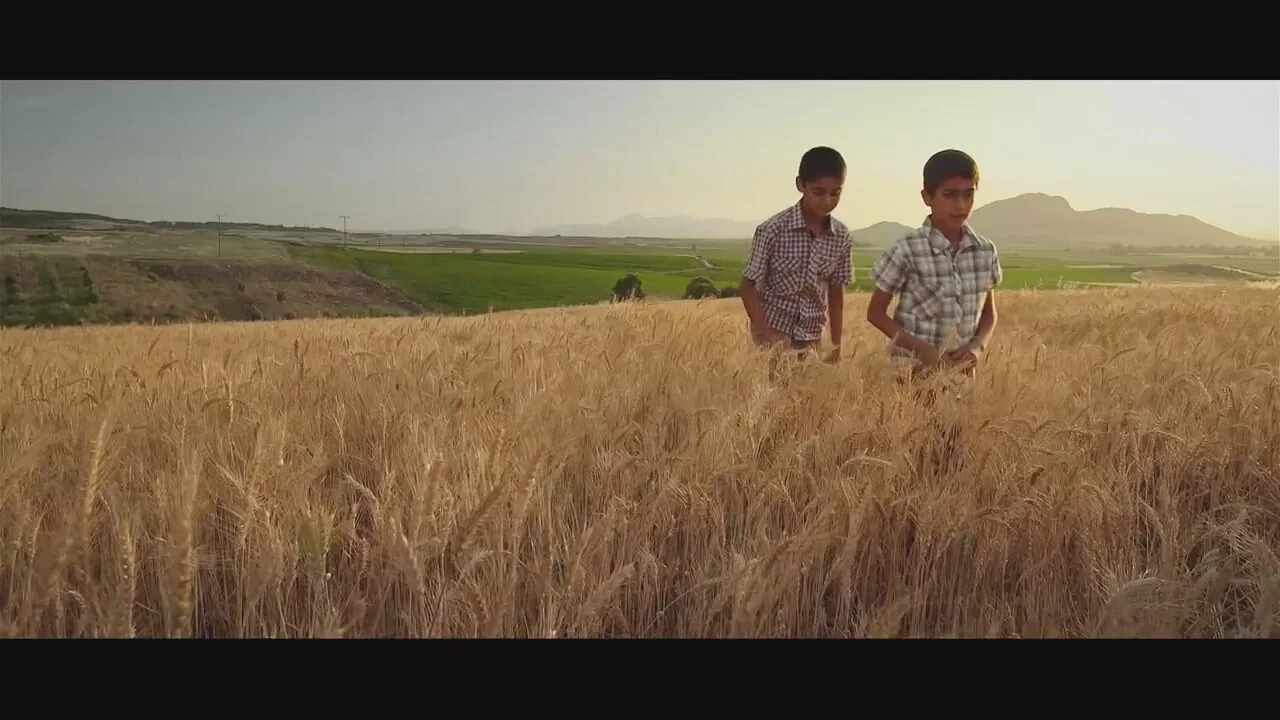 Biz Babasız Büyüdük