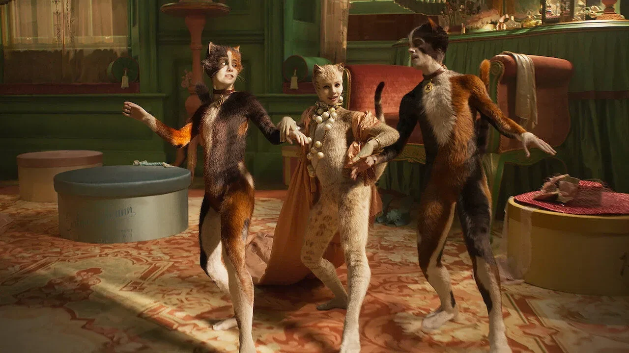 Cats - Kediler