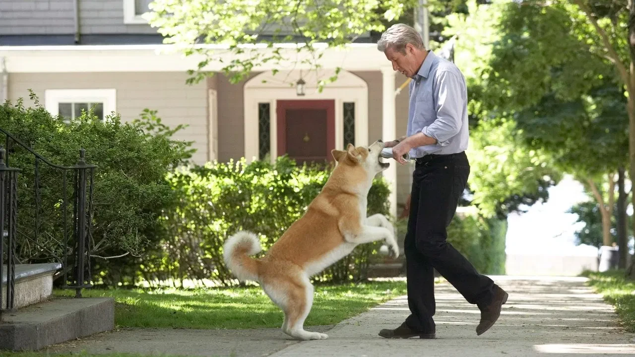 Hachiko Bir Köpeğin Hikayesi