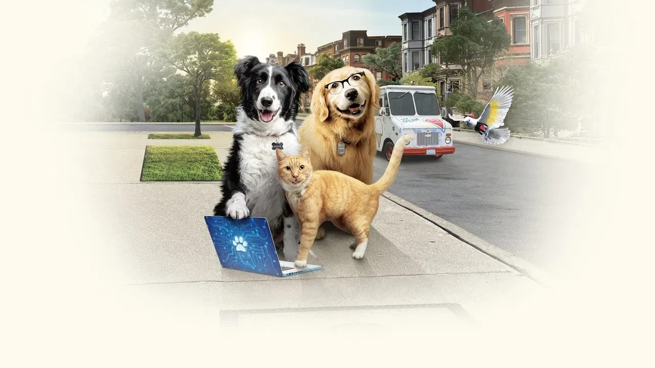 Kediler ve Köpekler 3