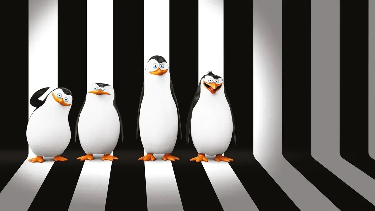Madagaskar Penguenleri