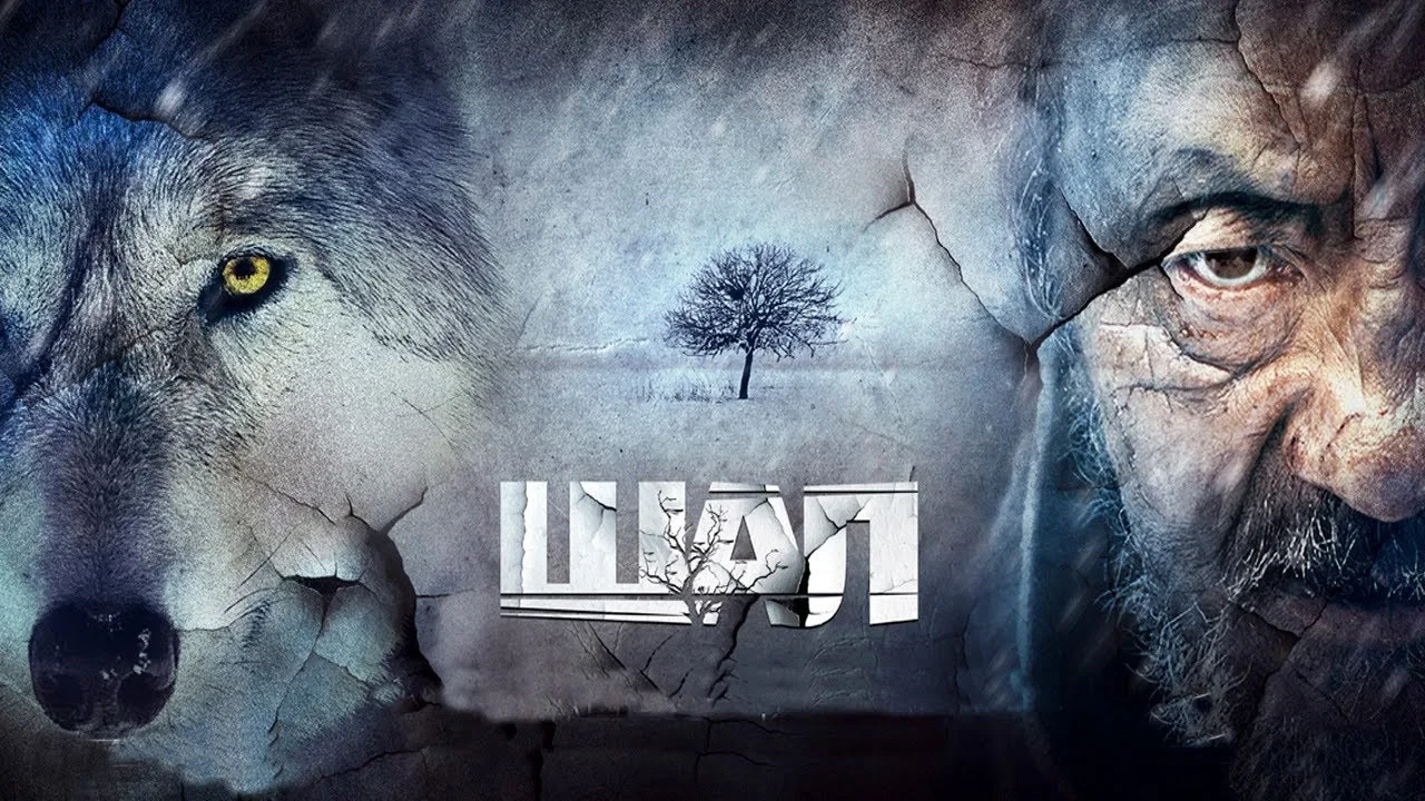 İhtiyar Adam