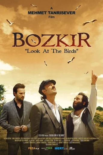 Bozkır Kuşlara Bak Kuşlara