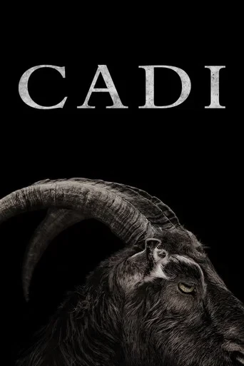 Cadı - The Witch