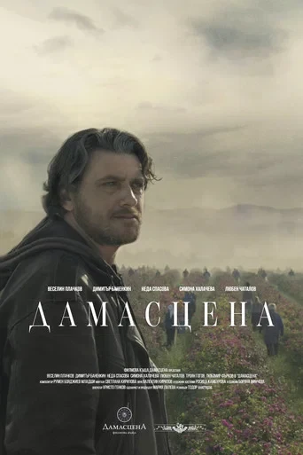 Güller Ülkesi Damascena