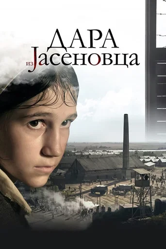 Dara of Jasenovca