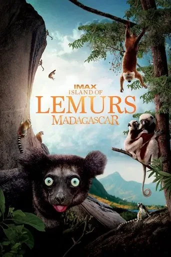 Island Of Lemurs Madagascar