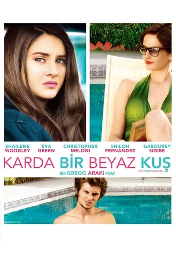 Karda Beyaz Bir Kuş