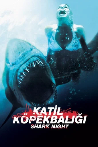 Katil Köpekbalığı