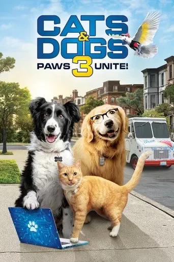 Kediler ve Köpekler 3