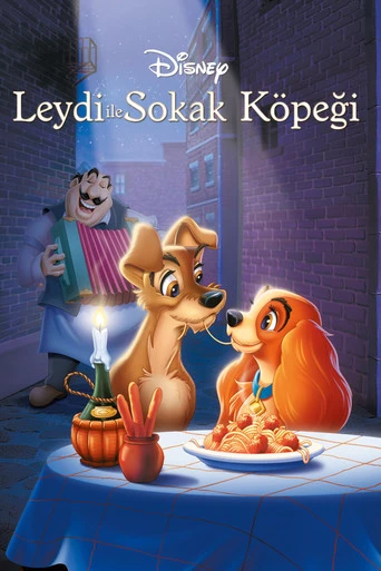 Leydi ile Sokak Köpeği 1