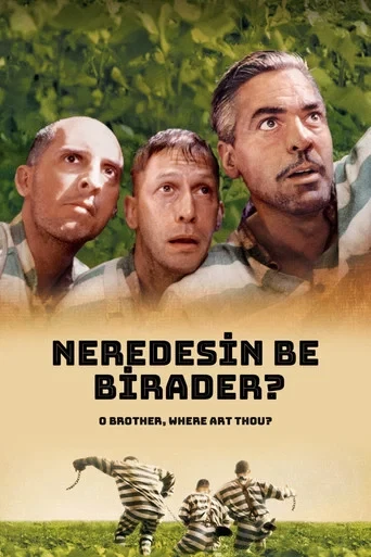 Nerdesin Be Birader