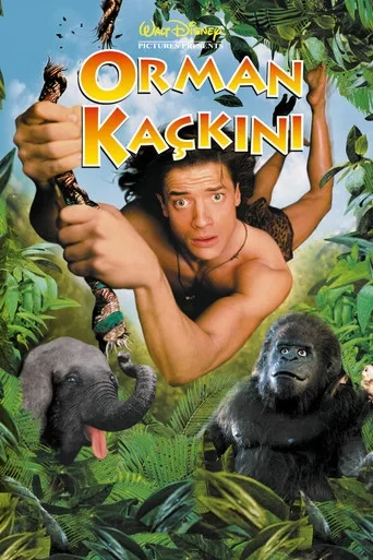 Orman Kaçkını 1