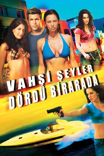 Vahşi Şeyler Dörtlü